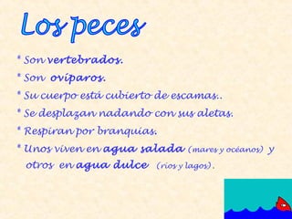 * Son vertebrados.
* Son ovíparos.
* Su cuerpo está cubierto de escamas..
* Se desplazan nadando con sus aletas.
* Respiran por branquias.
* Unos viven en agua salada      (mares y océanos)   y
 otros en agua dulce     (ríos y lagos) .
 