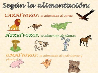 CARNÍVOROS: se alimentan de carne.
HERBÍVOROS: se alimentan de plantas.
OMNÍVOROS: se alimentan de todo (carne y
plantas).