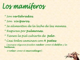 * Son vertebrados.
* Son vivíparos.
* Se alimentan de la leche de las mamas.
* Respiran por pulmones.
* Tienen la piel cubierta de pelo.
* Casi todos caminan con 4 patas
(aunque algunos pueden nadar como el delfín y la
ballena ;
o volar como el murciélago ).