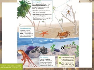 MATERIAL EXTRAIDO DEL LIBRO DE
CIENCIAS NATURALES 4º E.P DE S.M
 