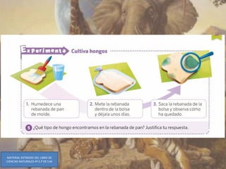 MATERIAL EXTRAIDO DEL LIBRO DE
CIENCIAS NATURALES 4º E.P DE S.M
 