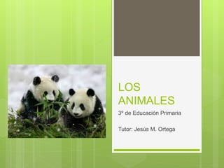 LOS
ANIMALES
3º de Educación Primaria
Tutor: Jesús M. Ortega
 