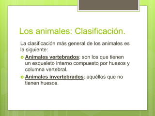 Los animales: Clasificación.
La clasificación más general de los animales es
la siguiente:
 Animales vertebrados: son los...