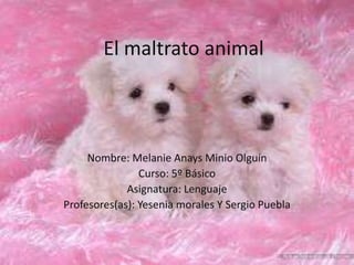 El maltrato animal
Nombre: Melanie Anays Minio Olguín
Curso: 5º Básico
Asignatura: Lenguaje
Profesores(as): Yesenia morales Y Sergio Puebla
 