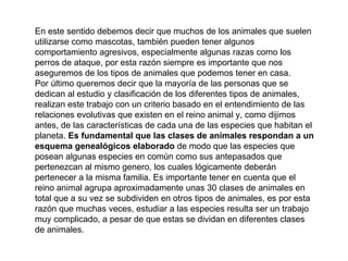 En este sentido debemos decir que muchos de los animales que suelen utilizarse como mascotas, también pueden tener algunos comportamiento agresivos, especialmente algunas razas como los perros de ataque, por esta razón siempre es importante que nos aseguremos de los tipos de animales que podemos tener en casa.  Por último queremos decir que la mayoría de las personas que se dedican al estudio y clasificación de los diferentes tipos de animales, realizan este trabajo con un criterio basado en el entendimiento de las relaciones evolutivas que existen en el reino animal y, como dijimos antes, de las características de cada una de las especies que habitan el planeta.  Es fundamental que las clases de animales respondan a un esquema genealógicos elaborado  de modo que las especies que posean algunas especies en común como sus antepasados que pertenezcan al mismo genero, los cuales lógicamente deberán pertenecer a la misma familia. Es importante tener en cuenta que el reino animal agrupa aproximadamente unas 30 clases de animales en total que a su vez se subdividen en otros tipos de animales, es por esta razón que muchas veces, estudiar a las especies resulta ser un trabajo muy complicado, a pesar de que estas se dividan en diferentes clases de animales. 