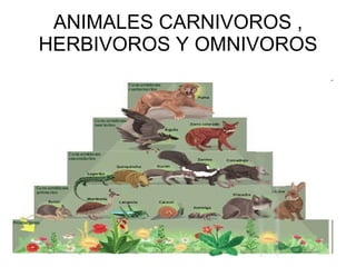 ANIMALES CARNIVOROS , HERBIVOROS Y OMNIVOROS 