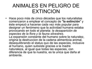ANIMALES EN PELIGRO DE EXTINCION Hace poco más de cinco décadas que los naturalistas comenzaron a emplear el concepto de " la extinción " y éste empezó a hacerse cada vez más popular para designar un fenómeno que la actividad humana estaba provocando en todo el planeta:  la desaparición de especies de la flora y la fauna silvestres .  La expansión constante del humano sobre la naturalez, origina la destruccion de la cadena alimenticia animal, desequilibrando el status quo de las especies, inclusive al humano, quien subsiste gracias a la madre naturaleza, al igual que todas las especies, con diferencia de que la nuestra, es la unica que daña al ambiente.  