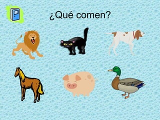 ¿Qué comen?