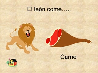 El león come….. Carne