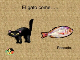 El gato come….. Pescado