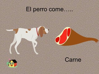 El perro come….. Carne