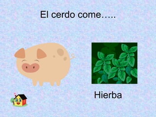 El cerdo come….. Hierba