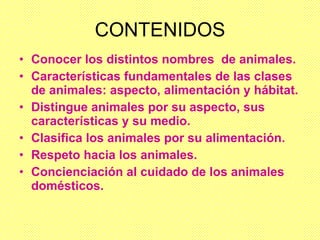 CONTENIDOS Conocer los distintos nombres de animales. Características fundamentales de las clases de animales: aspecto, alimentación y hábitat. Distingue animales por su aspecto, sus características y su medio. Clasifica los animales por su alimentación. Respeto hacia los animales. Concienciación al cuidado de los animales domésticos.