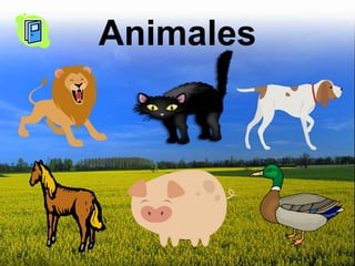 Animales