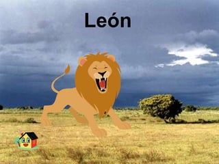 León