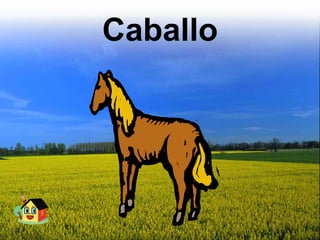 Caballo