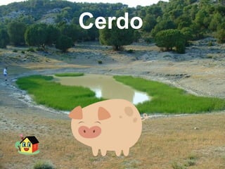 Cerdo