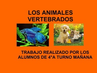 LOS ANIMALES VERTEBRADOS ,[object Object]