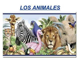 LOS ANIMALES 
 