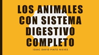LOS ANIMALES
CON SISTEMA
DIGESTIVO
COMPLETO
I S A A C D AV I D P I N T O N I E V E S
 