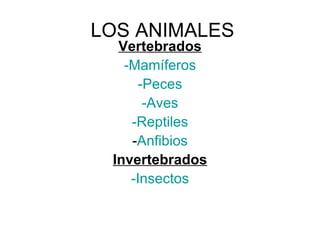 LOS ANIMALES
  Vertebrados
   -Mamíferos
      -Peces
       -Aves
    -Reptiles
    -Anfibios
 Invertebrados
    -Insectos
 