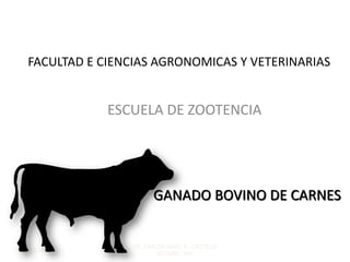 FACULTAD E CIENCIAS AGRONOMICAS Y VETERINARIAS
ESCUELA DE ZOOTENCIA
27/12/18
DR. CARLOS ARIEL G. CASTILLO
VICIOSO, MSc
GANADO BOVINO DE CARNES
 