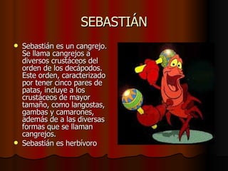 SEBASTIÁN Sebastián es un cangrejo.  Se llama cangrejos a diversos crustáceos del orden de los decápodos. Este orden, caracterizado por tener cinco pares de patas, incluye a los crustáceos de mayor tamaño, como langostas, gambas y camarones, además de a las diversas formas que se llaman cangrejos.  Sebastián es herbívoro 