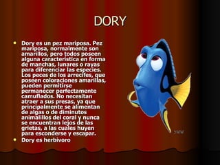 DORY Dory es un pez mariposa.  Pez mariposa, normalmente son amarillos, pero todos poseen alguna característica en forma de manchas, lunares o rayas para diferenciar las especies. Los peces de los arrecifes, que poseen coloraciones amarillas, pueden permitirse permanecer perfectamente camuflados. No necesitan atraer a sus presas, ya que principalmente se alimentan de algas o de diminutos animalillos del coral y nunca se encuentran lejos de las grietas, a las cuales huyen para esconderse y escapar.  Dory es herbívoro 