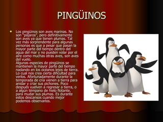 PINGÜINOS Los pingüinos son aves marinas. No son “pájaros”, pero definitivamente son aves ya que tienen plumas. Tal vez más sorprendente para algunas personas es que a pesar que pasan la mayor parte del tiempo dentro del agua del mar y no pueden volar por el aire como muchas otras aves, son aves del vuelo. Algunas especies de pingüinos se mantienen la mayor parte del tiempo nadando en los océanos lejos de tierra. Lo cual nos crea cierta dificultad para verlos. Afortunadamente durante la temporada de cría vienen a tierra para anidar y criar sus pichones. Poco después vuelven a regresar a tierra, o a algún témpano de hielo flotante, para mudar sus plumas. Es durante estos descansos cuando mejor podemos observarlos. 