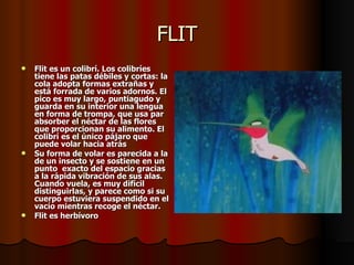 FLIT Flit es un colibrí. Los colibríes  tiene las patas débiles y cortas: la cola adopta formas extrañas y está forrada de varios adornos. El pico es muy largo, puntiagudo y guarda en su interior una lengua en forma de trompa, que usa par absorber el néctar de las flores que proporcionan su alimento. El colibrí es el único pájaro que puede volar hacia atrás Su forma de volar es parecida a la de un insecto y se sostiene en un punto  exacto del espacio gracias a la rápida vibración de sus alas. Cuando vuela, es muy difícil distinguirlas, y parece como si su cuerpo estuviera suspendido en el vacío mientras recoge el néctar.  Flit es herbívoro 