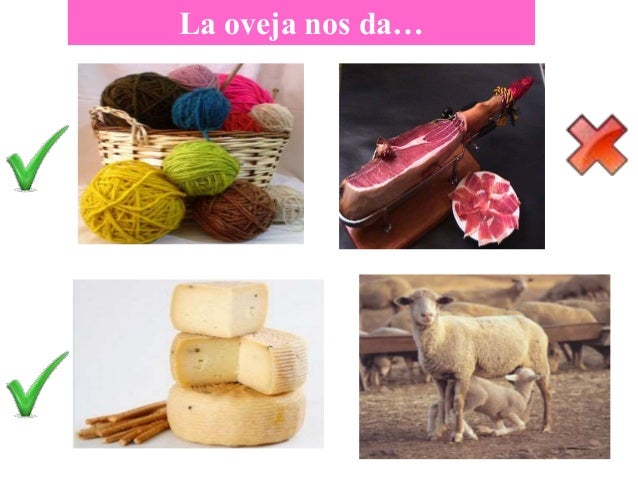 Los animales de la granja