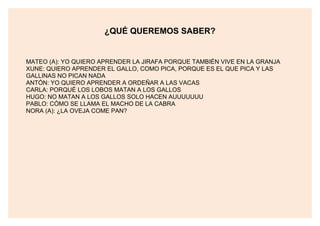 ¿QUÉ QUEREMOS SABER?
MATEO (A): YO QUIERO APRENDER LA JIRAFA PORQUE TAMBIÉN VIVE EN LA GRANJA
XUNE: QUIERO APRENDER EL GALLO, COMO PICA, PORQUE ES EL QUE PICA Y LAS
GALLINAS NO PICAN NADA
ANTÓN: YO QUIERO APRENDER A ORDEÑAR A LAS VACAS
CARLA: PORQUÉ LOS LOBOS MATAN A LOS GALLOS
HUGO: NO MATAN A LOS GALLOS SOLO HACEN AUUUUUUU
PABLO: CÓMO SE LLAMA EL MACHO DE LA CABRA
NORA (A): ¿LA OVEJA COME PAN?
 