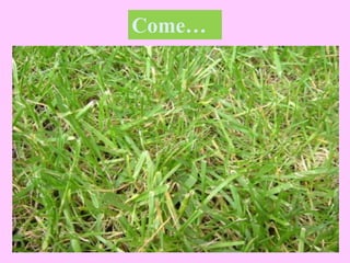 Come…
 