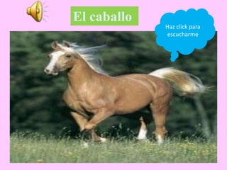 El caballo
Haz click para
escucharme
 