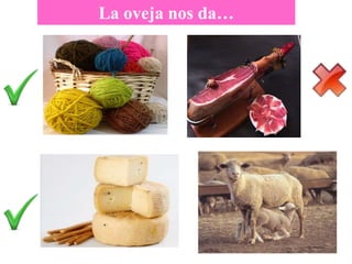 La oveja nos da…
 