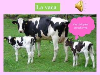 La vaca
Haz click para
escucharme
 