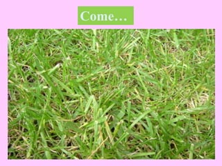 Come…
 