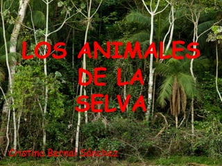 LOS ANIMALES
      DE LA
      SELVA

Cristina Bernal Sánchez
 