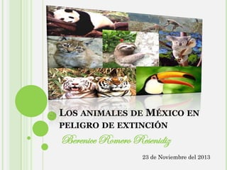 LOS ANIMALES DE MÉXICO EN
PELIGRO DE EXTINCIÓN

Berenice Romero Resenidiz
23 de Noviembre del 2013

 