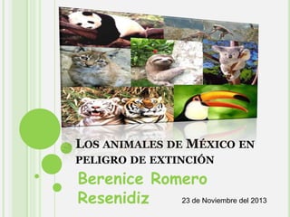 LOS ANIMALES DE MÉXICO EN
PELIGRO DE EXTINCIÓN

Berenice Romero
23 de Noviembre del 2013
Resenidiz

 