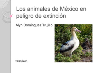 Los animales de México en
peligro de extinción
Alyn Domínguez Trujillo

21/11/2013

 