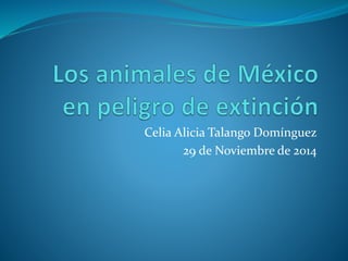 Celia Alicia Talango Domínguez 
29 de Noviembre de 2014 
 