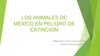 LOS ANIMALES DE 
MÉXICO EN PELIGRO DE 
EXTINCIÓN 
Elaborado por: Nestor Jesus Luna Flores 
Fecha:3 de Diciembre del 2014 
 
