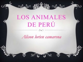 LOS ANIMALES
DE PERÚ
Alison lorien camarena
 