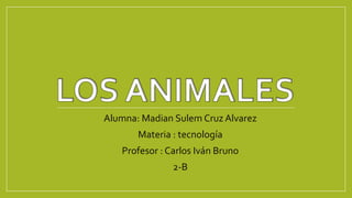 Alumna: Madian Sulem Cruz Alvarez
Materia : tecnología
Profesor : Carlos Iván Bruno
2-B
 