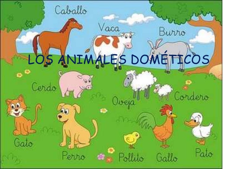 Resultado de imagen para los animales domesticos