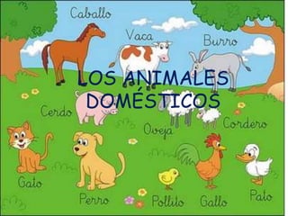 LOS ANIMALES
 DOMÉSTICOS
 