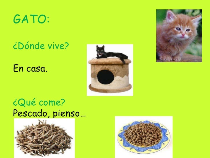 Vysypaniya en la piel y las lombrices