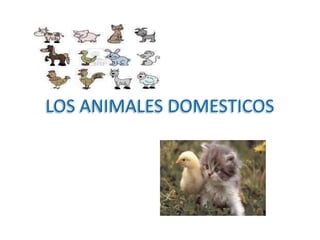 LOS ANIMALES DOMESTICOS 
 