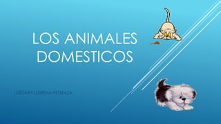 LOS ANIMALES 
DOMESTICOS 
LUZDARY LLERENA PEDRAZA 
 